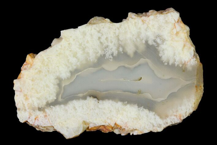 Wide, Banded Plume Agate Slice - Oregon #136885